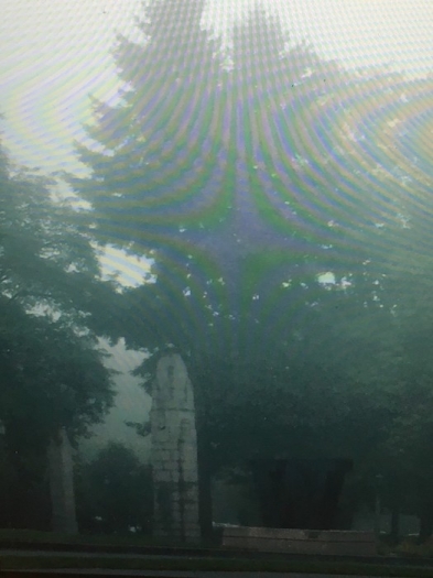 https://www.zhanpeifang.com/files/gimgs/th-19_moire1.jpg