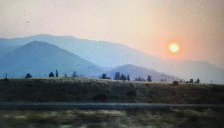 https://www.zhanpeifang.com/files/gimgs/th-19_moire6.jpg